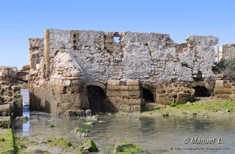 ¿Sabes qué es un Molino de Mareas?